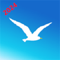 海鸥加速器2024年元旦版